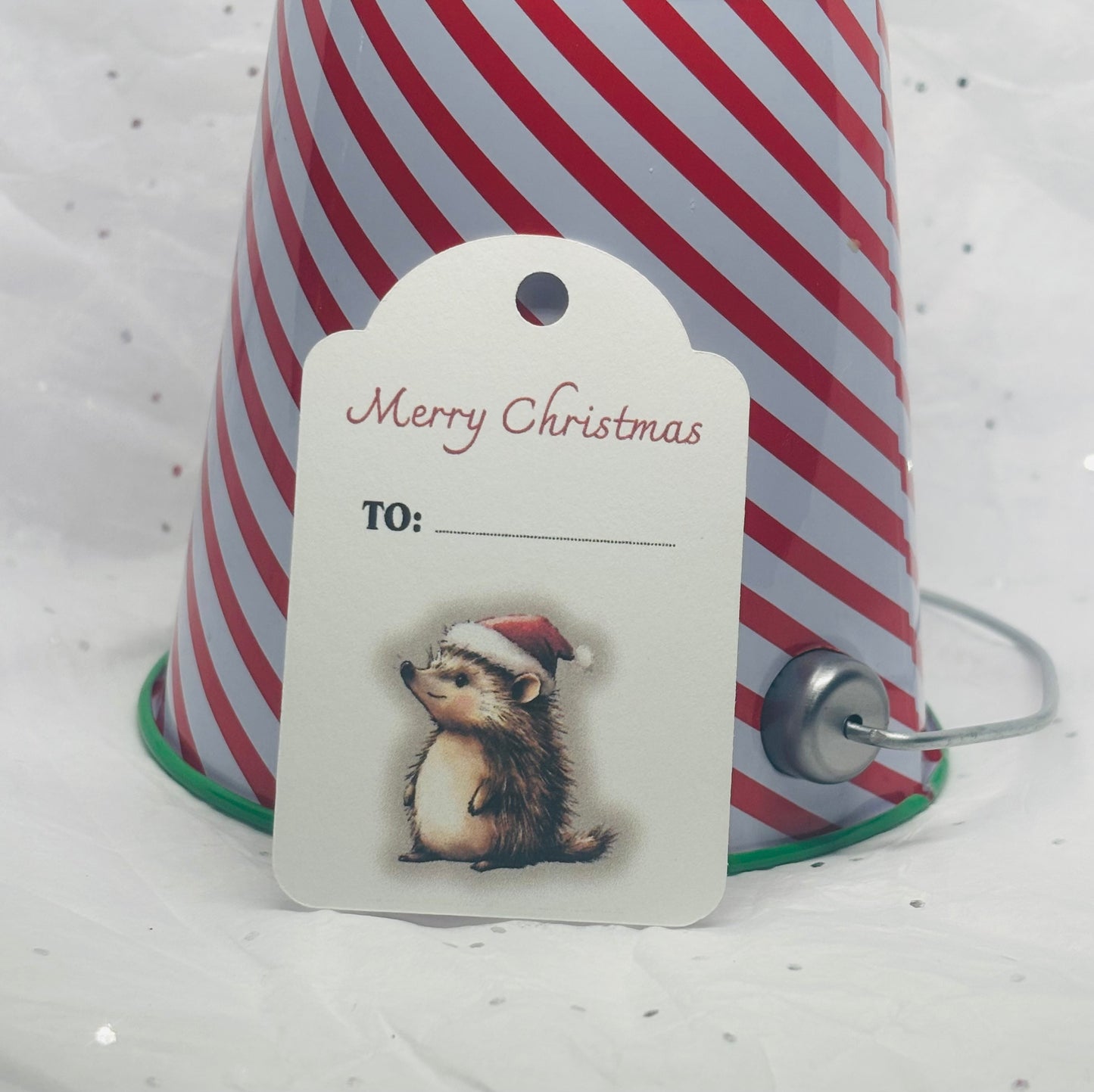 Christmas Gift Tags (10pk)