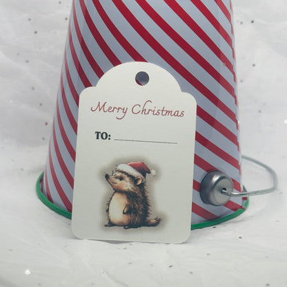 Christmas Gift Tags (10pk)