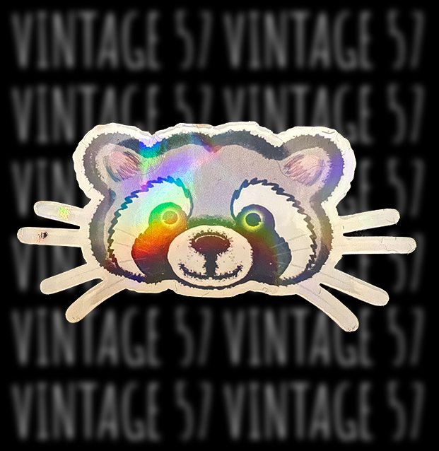 Cute Raccoon Sticker