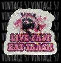 Live Fast Eat Trash Sticker